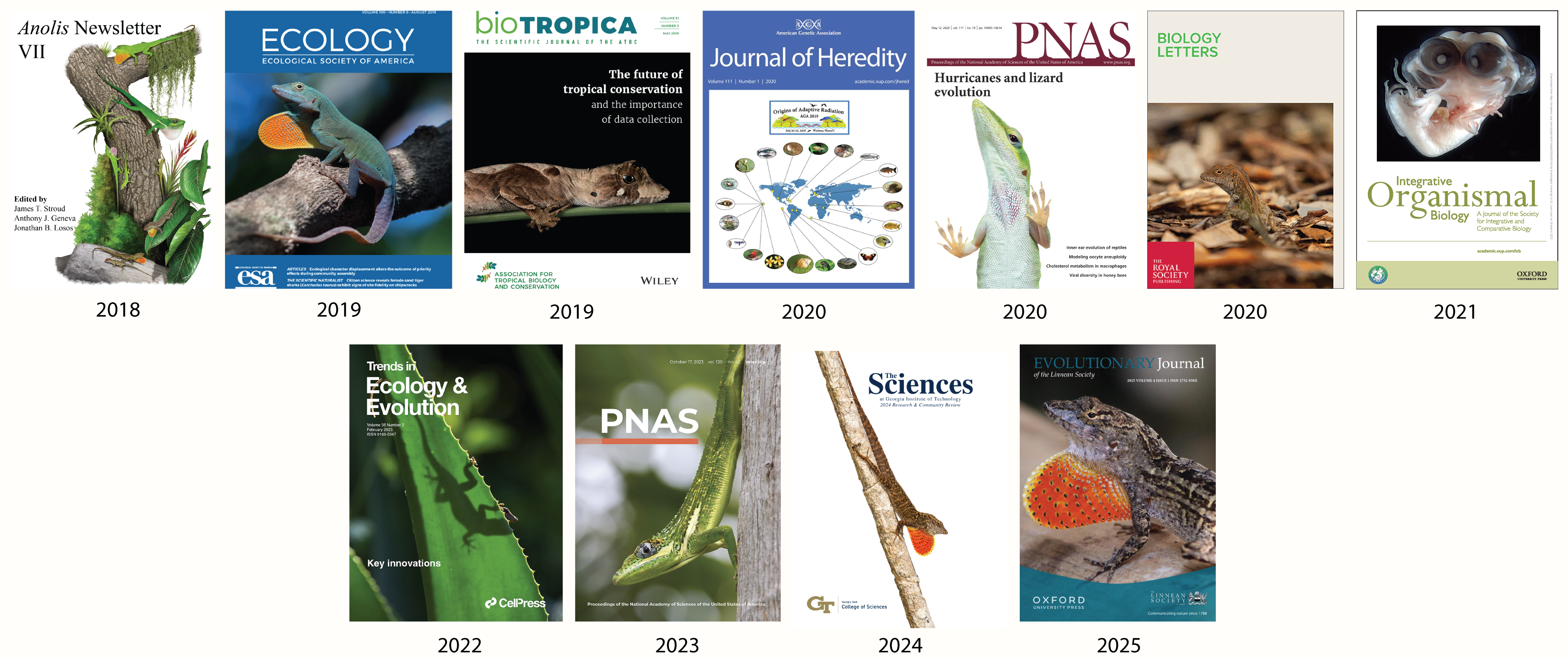 Journal covers from Stroud Lab publications.