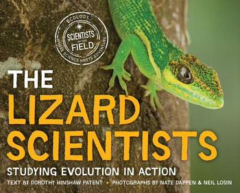 Cover of The Lizard Scientists: Studying Evolution in Action
